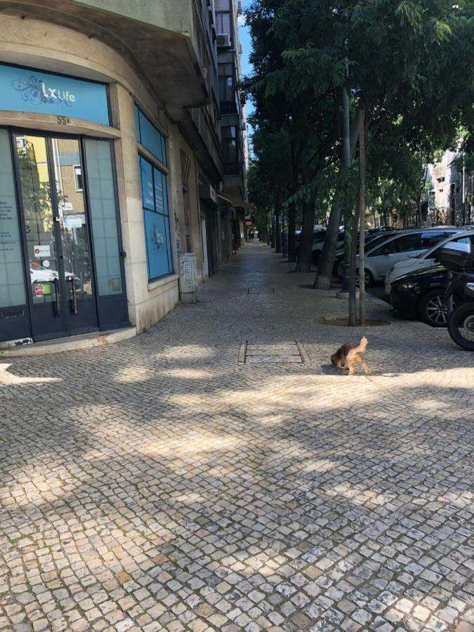 99 Flowers Flat Lisbon Bagian luar foto